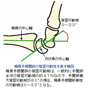 橈骨手根関節の背屈可動性