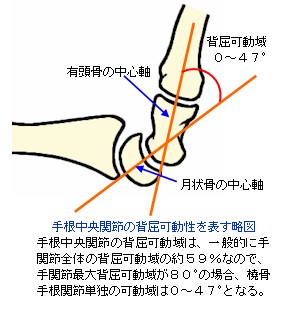手根中央関節の背屈可動性